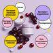 Лифтинг крем-гель с ресвератролом и экстрактом клюквы Dr.Ceuracle Vegan Active Berry Lifting Cream, 15 г