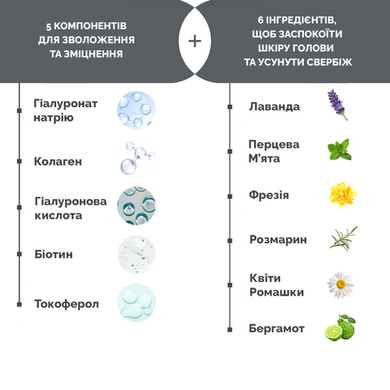 Шампунь для сухих и поврежденных волос Dr.FORHAIR Folligen Silk Shampoo в каталоге BeautyMuse